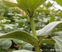 中国九游体育-php垏埇垬件的扩埉埀埆常使埈
